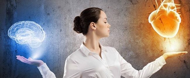 Cómo-funciona-el-corazón-humano-como-un-segundo-cerebro